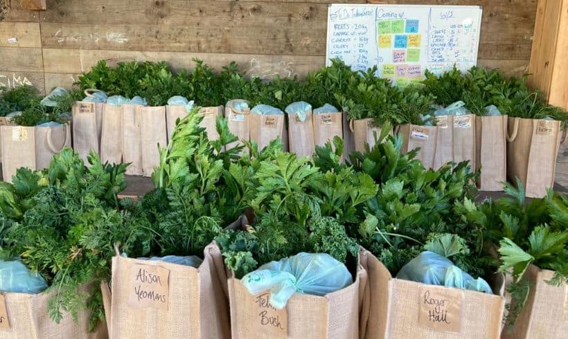 Bags of veg
