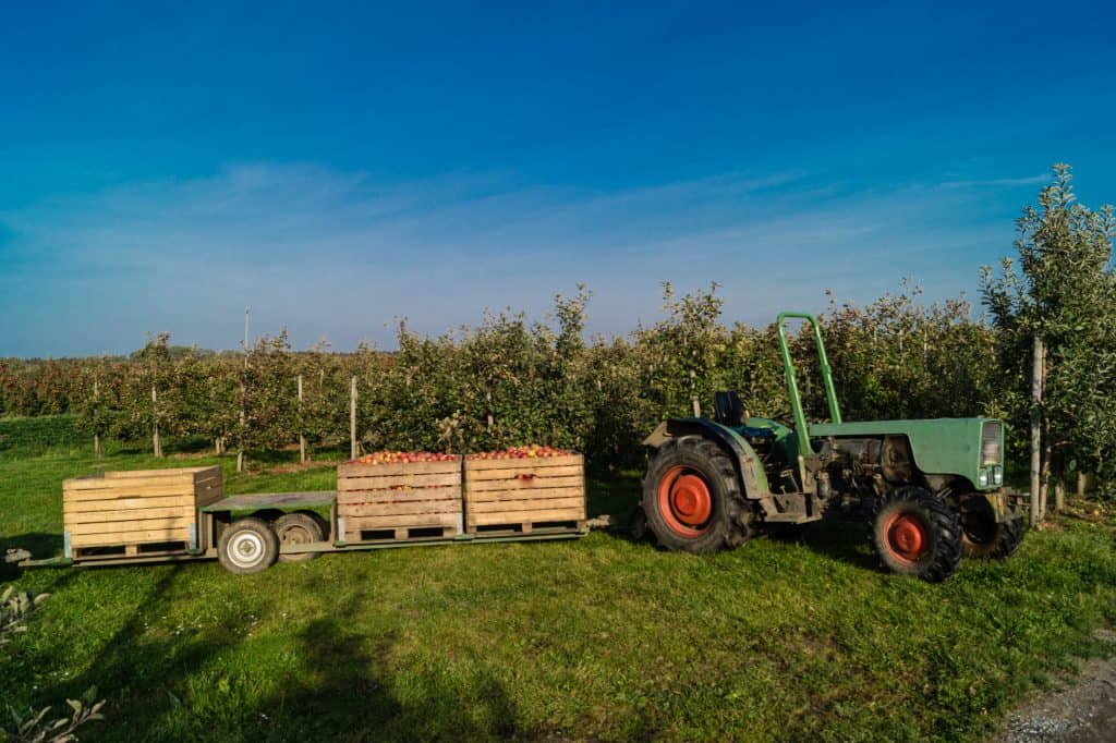 Tractor in field pulling food produce