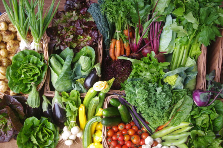 A table full of many organic vegetables grown at Shillingford farm in Exeter. it is bountiful